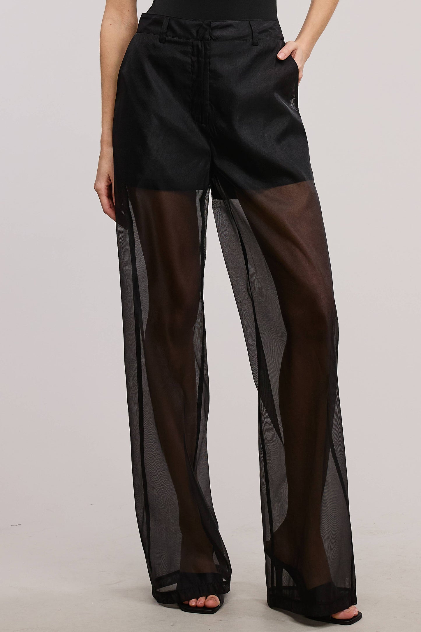 SHEER ORGANZA PANTS